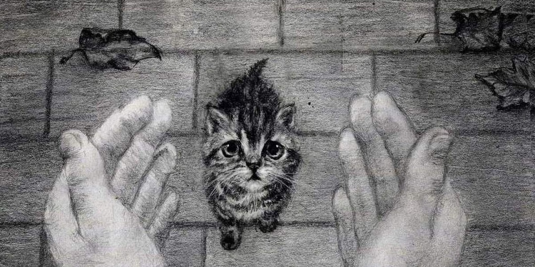 «У меня к тебе дело на миллион долларов. Нужно вывезти подальше моего кота...» Опять я попала в историю
