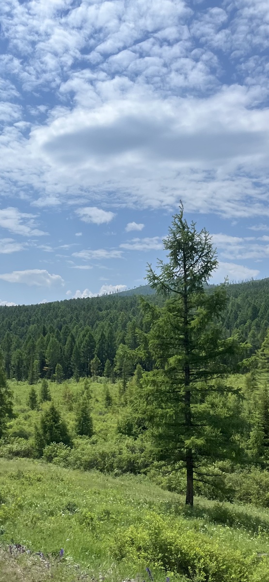 фото из личного архива