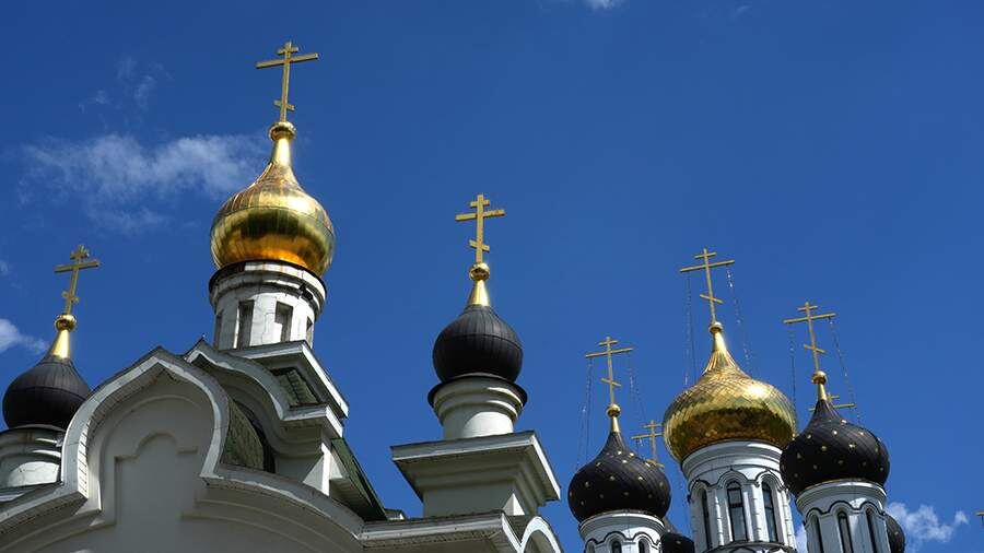    Фото: ИЗВЕСТИЯ/Дмитрий Коротаев