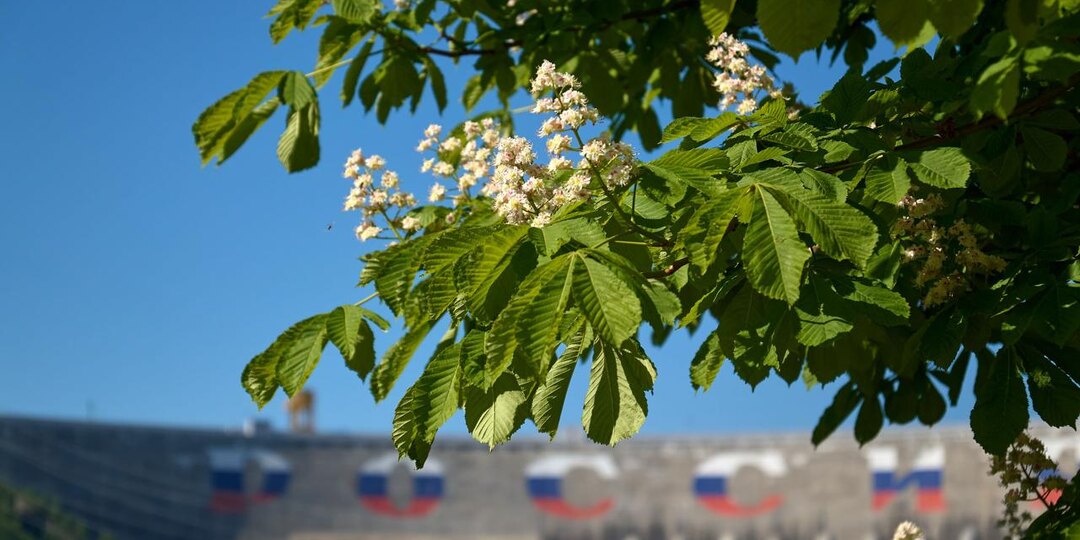 Саяно-Шушенская ГЭС, Черемушки, Хакасия