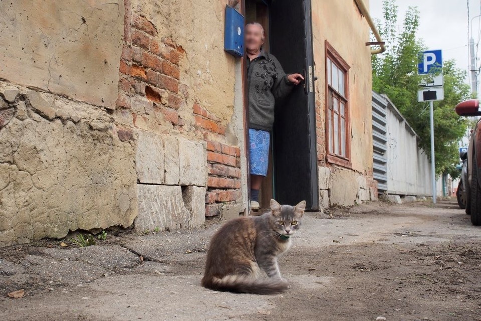    Волонтеры и неравнодушная соседка сделали ремонт пенсионерке в Ростове. Алексей ФОКИН