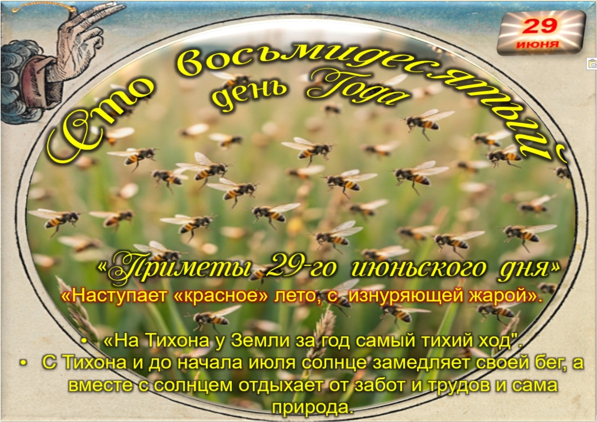 Встречаем новый день