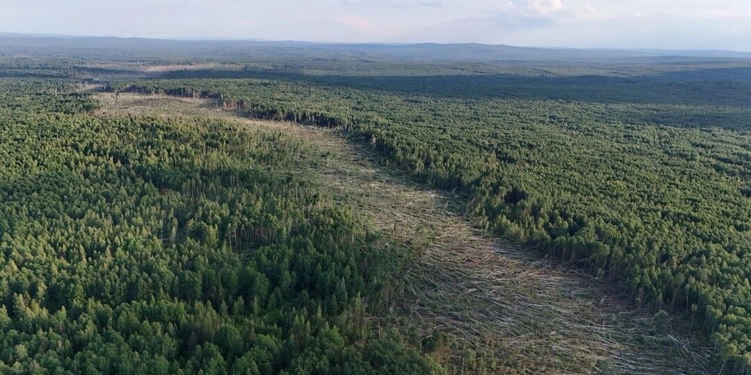 Смерч над Кушвой. Как выглядят город и лес после урагана