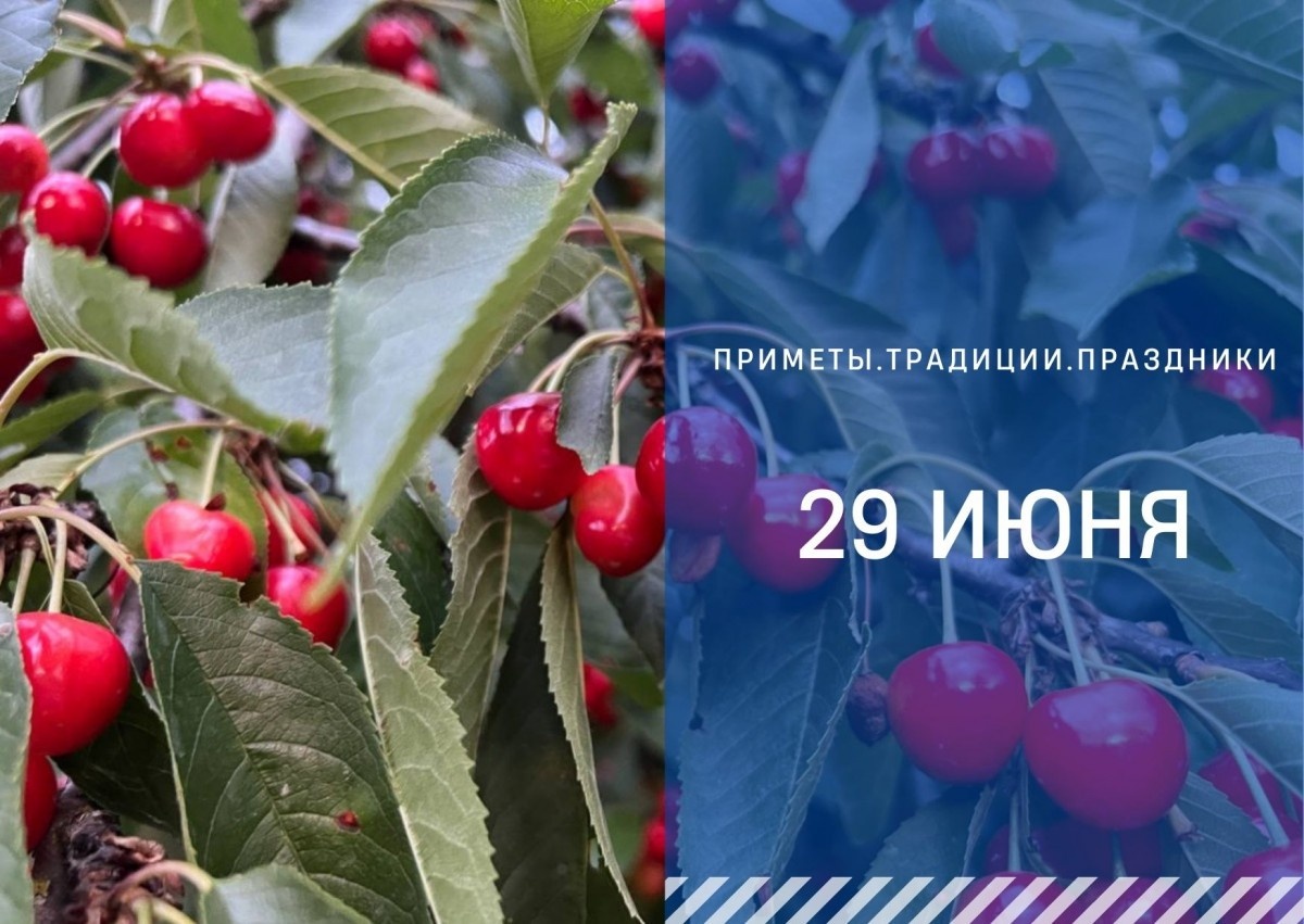 ГТРК "Ставрополье"
