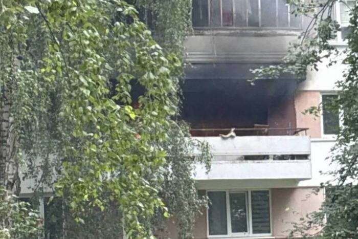 В Набережных Челнах произошёл взрыв газа, одна женщина пострадала. Обложка © Telegram / Набережные Челны Life
