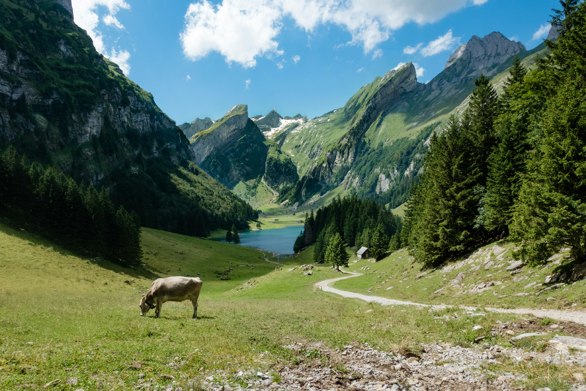     Daniel Seßler / Unsplash