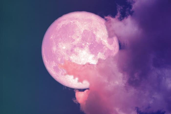 Обложка © Shutterstock / FOTODOM / Darkfoxelixir