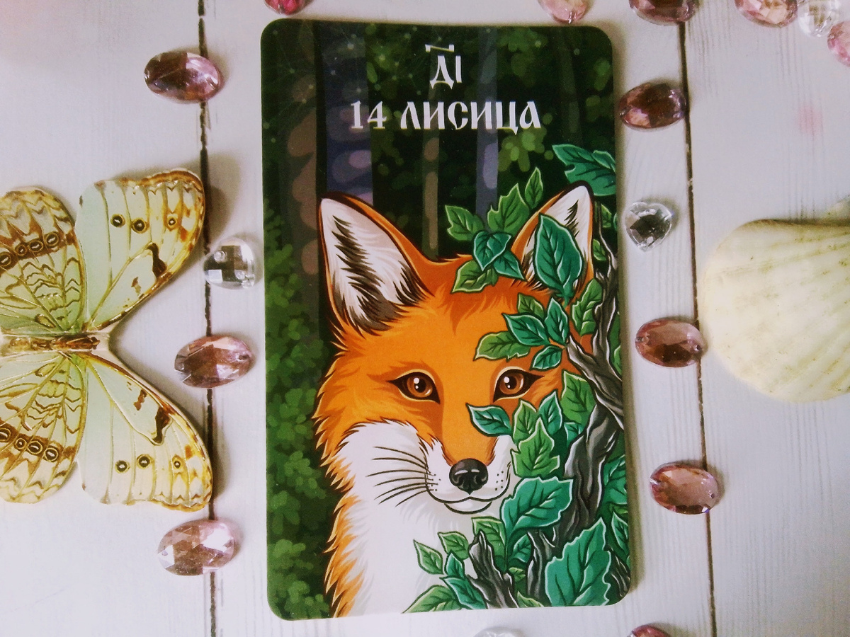 Фото автора канала.