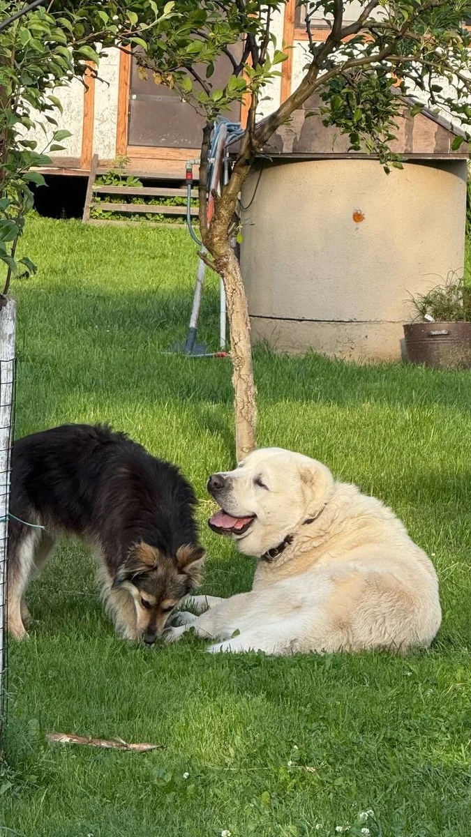 -2-2