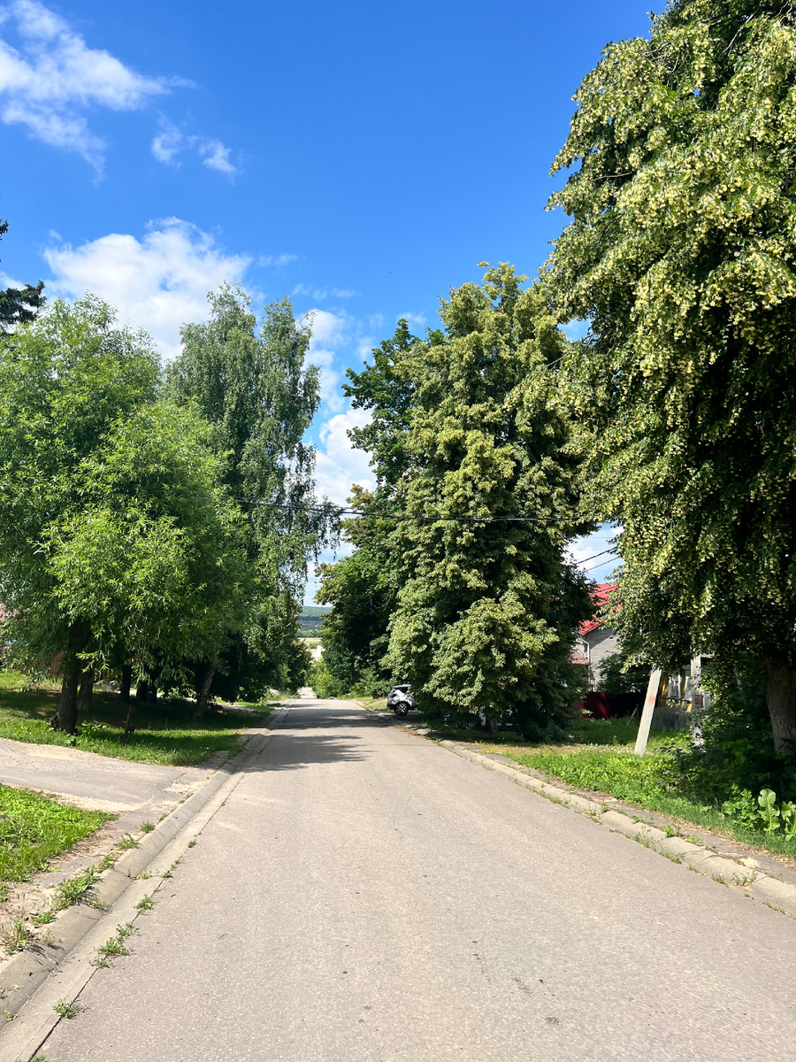 Это улица Ямская слобода, но за деревьями домов практически не видно