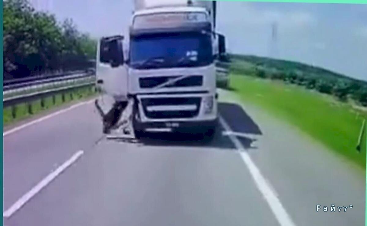   Фото - скриншот с видео, снятого на месте происшествия
