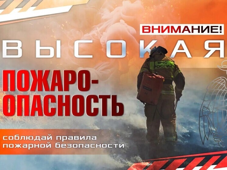     Фото: пресс-служба ГУ МЧС ДНР