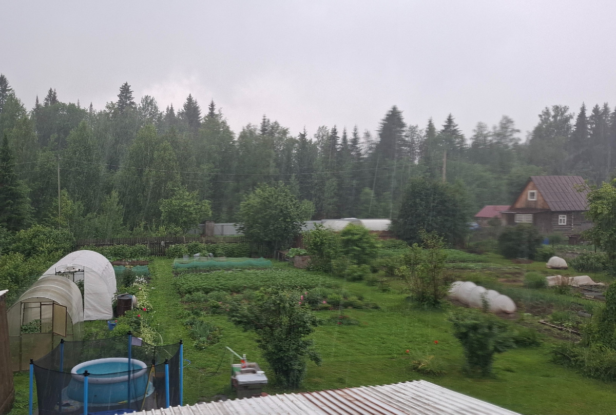 Опять дожди.
