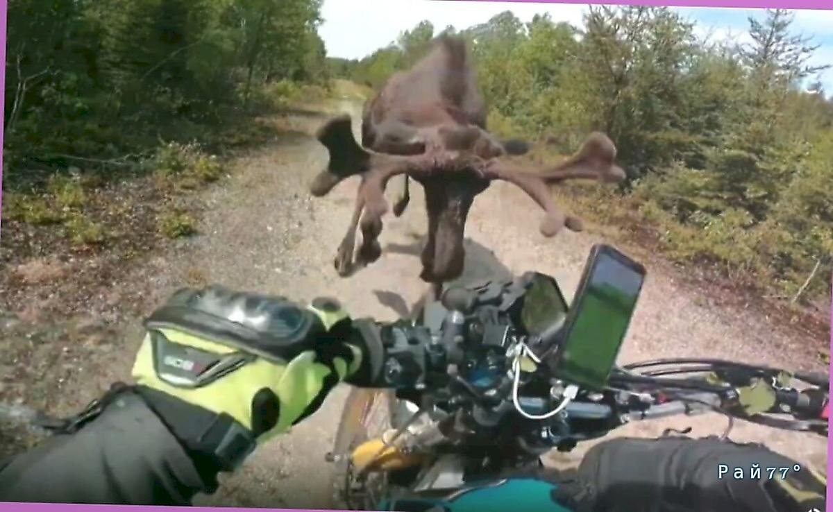   Фото - скриншот с видео, снятого на месте происшествия