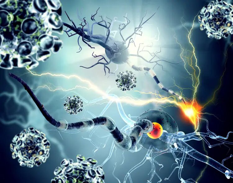    Источник: scientificrussia.ru София Васильева