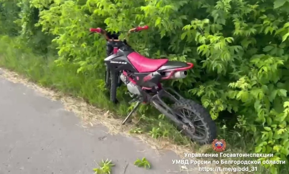    Фото: пресс-служба Госавтоинспекции по Белгородской области