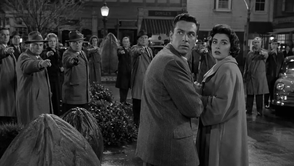 Вторжение похитителей тел (Invasion of the Body Snatchers, 1956)*