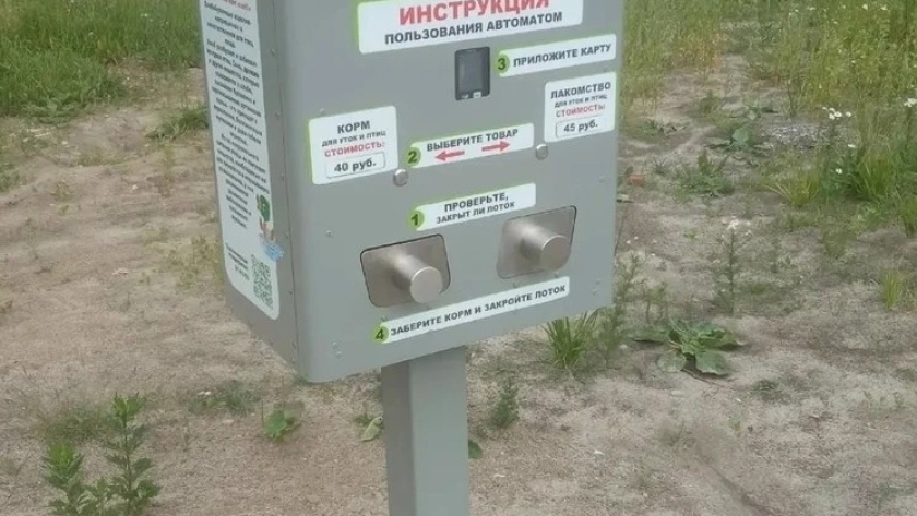    Фото: Ярослав Мудрый