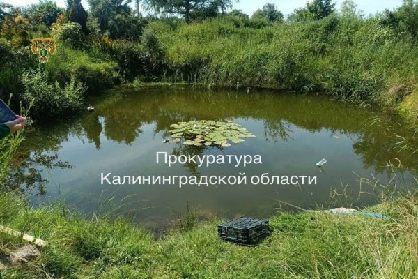 Прокуратура: утонувшая в Полесском районе шестилетняя девочка находилась без присмотра