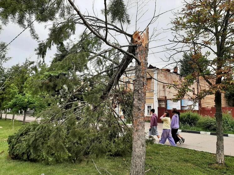     Фото: "МК в Саратове"