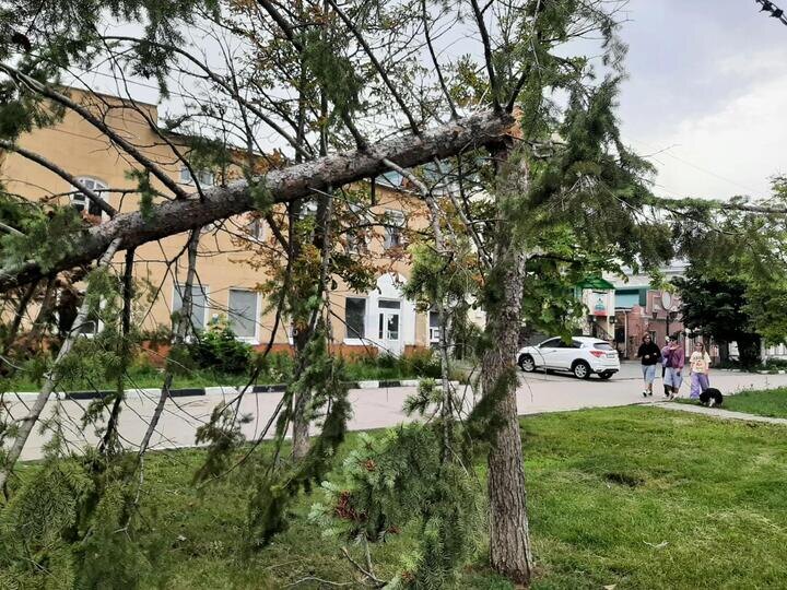     Фото: "МК в Саратове"
