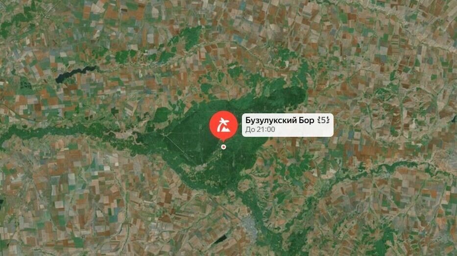    Бузулукский бор находится среди степи   Яндекс.Карты