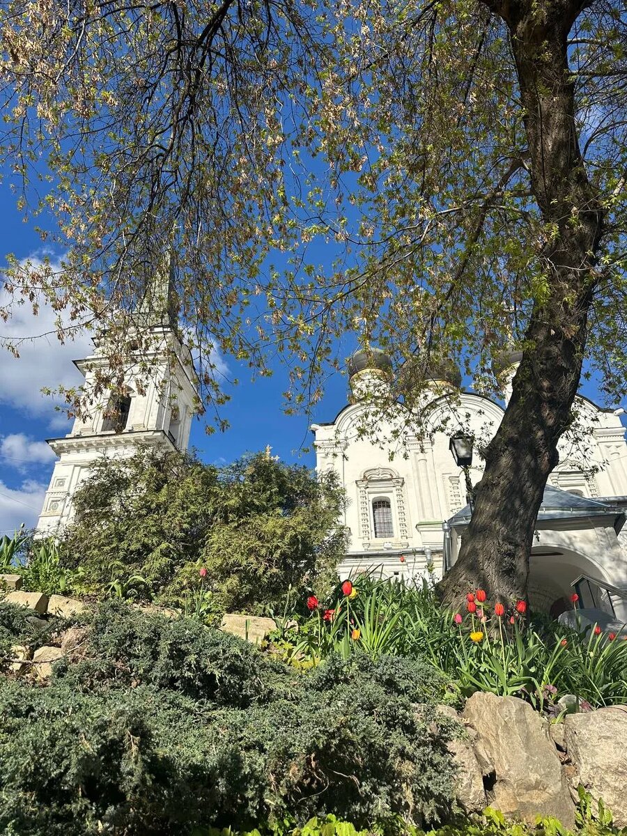 Наталья Романова благодарим за чудесное фото