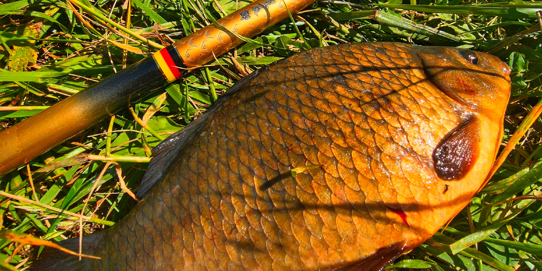 Нежданная охота за золотым карасем