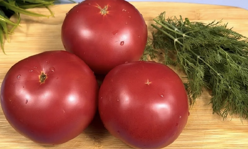 Балканская овощная закуска к шашлыку и не только — яркий вкус лета на вашем столе