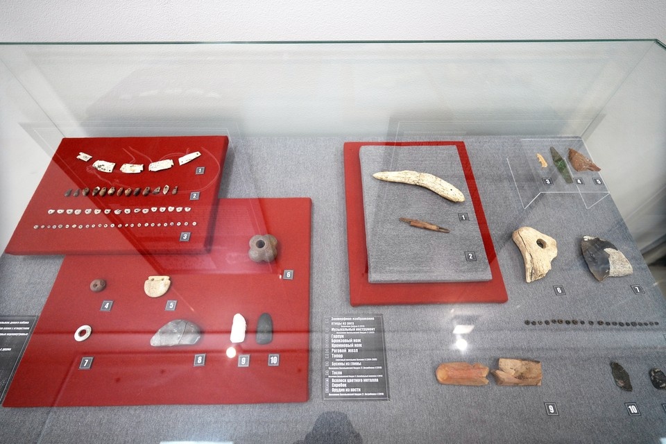    Экспонаты эпохи неолита из Краеведческого музея Липецка в Мариуполе Александр ИВАНОВ