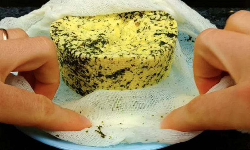 Готовим натуральный домашний сыр за 30 минут: простой и вкусный рецепт