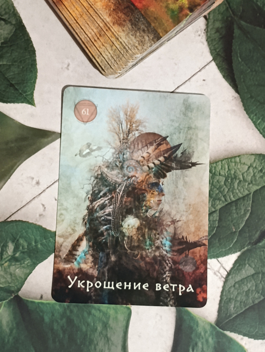 Фото из личной коллекции