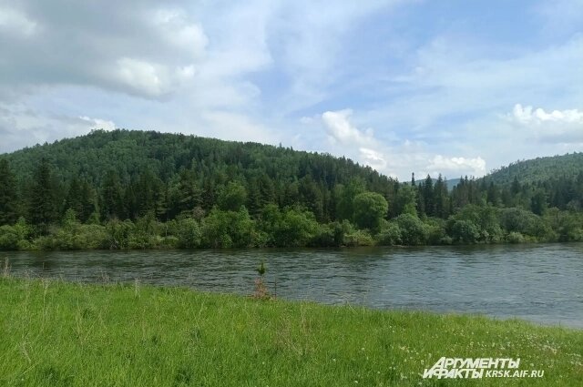    Берег реки Маны. Фото: krsk.aif.ru/ Татьяна Бахтигозина