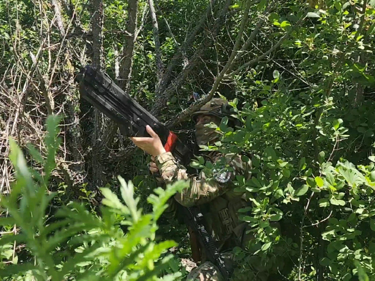     @https://mil.ru/