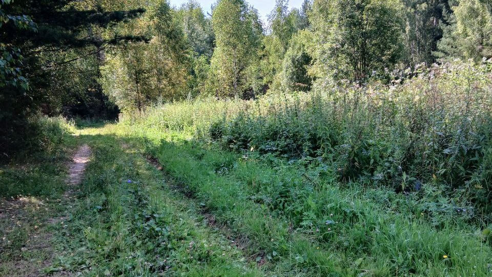 Три доли Глава 35