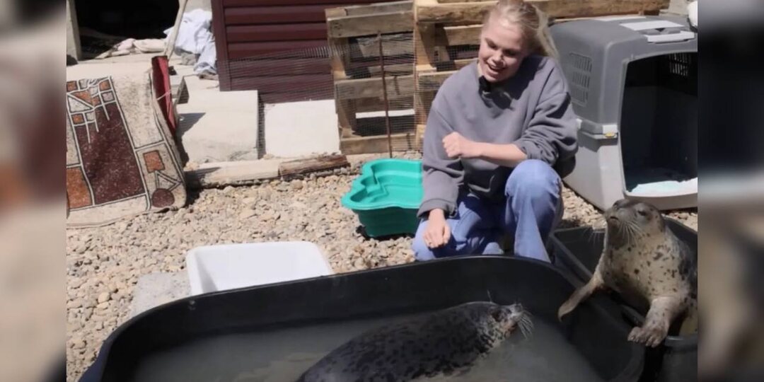 Шило и Билибина скоро выпустят в Охотское море