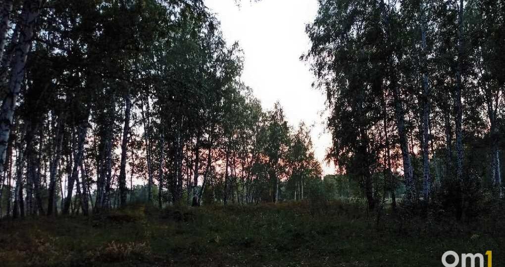 В Омской области заметили опасного хищника
