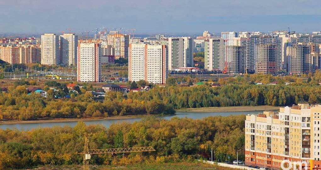На Левобережье в Омске заметили редкую горную птицу