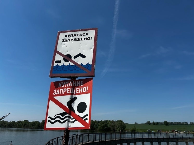     Фото: МК на Алтае