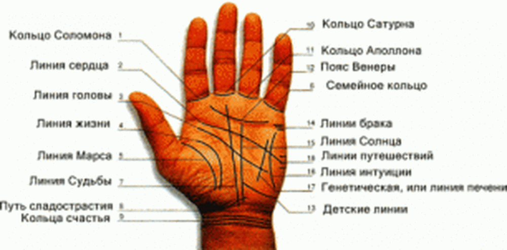 https://sr.billing4.net/articles/gadaniya/hirologiya-i-hiromantiya-dlya-nachinayushih-uznajte-kak-rasshifrovivat-znaki-na-rukah.html