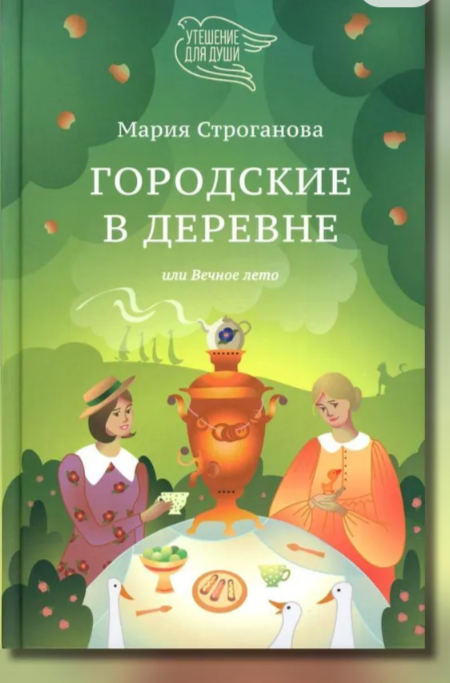 Обложка книги М. Строгановой, книга издана ООО ТД «Никея», 2025 https://www.wildberries.ru/catalog/722310890/detail.aspx?ysclid=mqyr1sxr3639506961