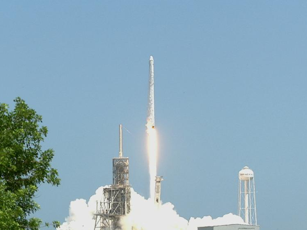    Компания SpaceX запустила грузовой корабль Dragon к МКС© Фото : аккаунт NASA в Twitter