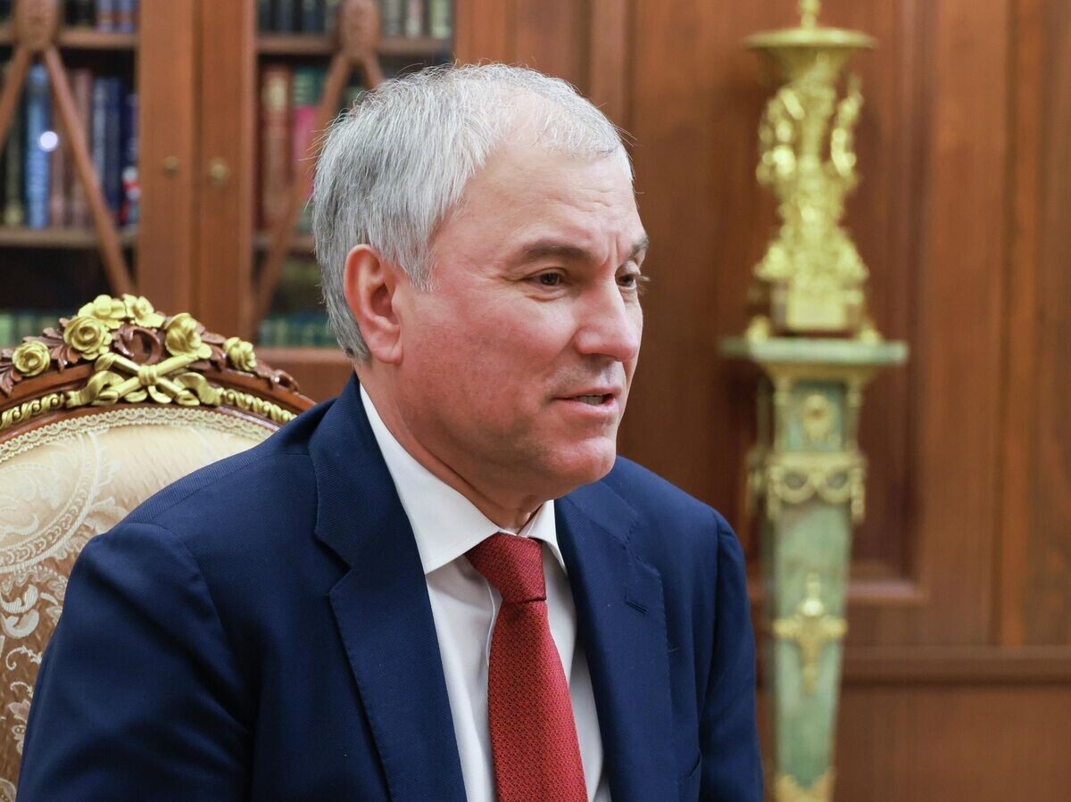    Председатель Государственной думы России Вячеслав Володин во время встречи с президентом Владимиром Путиным | © РИА Новости / POOL