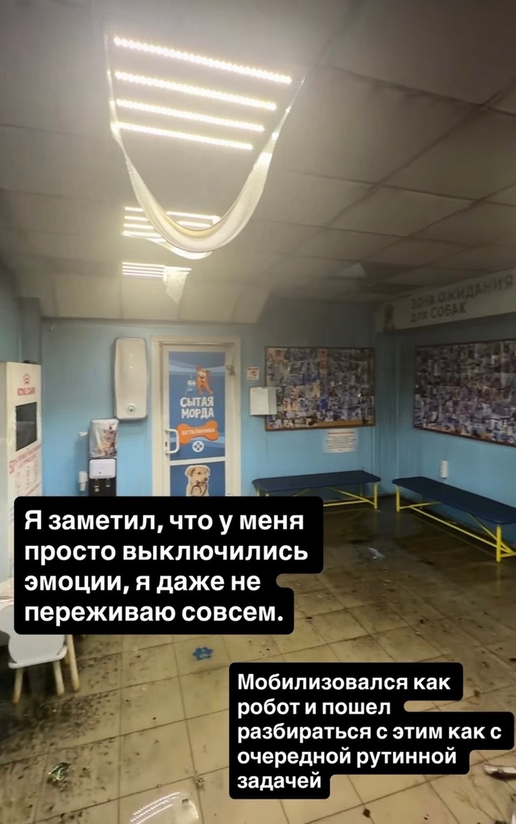    Фото: Павел Грищенко, соцсети.