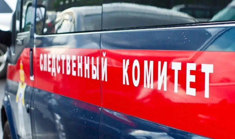    Следственный Комитет РФ