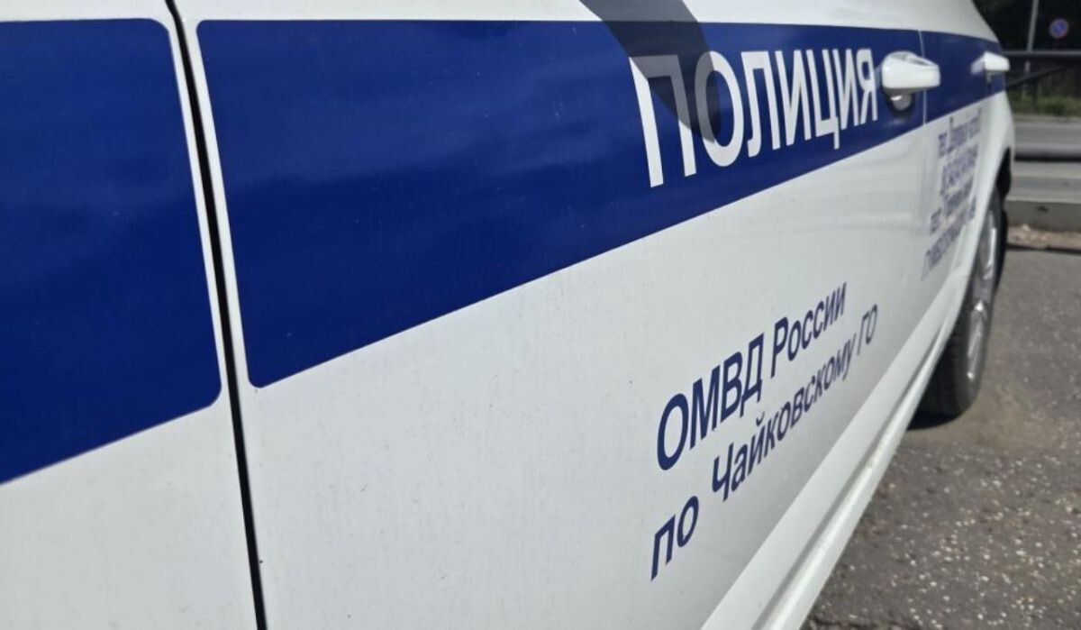     Патрульный автомобиль полиции. Источник: ОМВД по ЧГО Автор фото: Отдел МВД по ЧГО