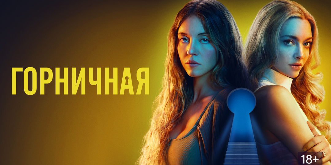 Как фильм «Горничная» задает неудобные вопросы американской элите?