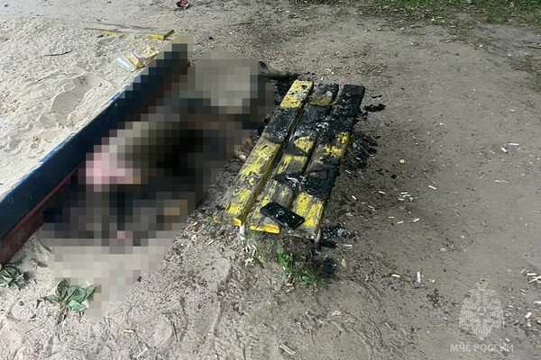 ГУ МЧС России по Нижегородской области   📷