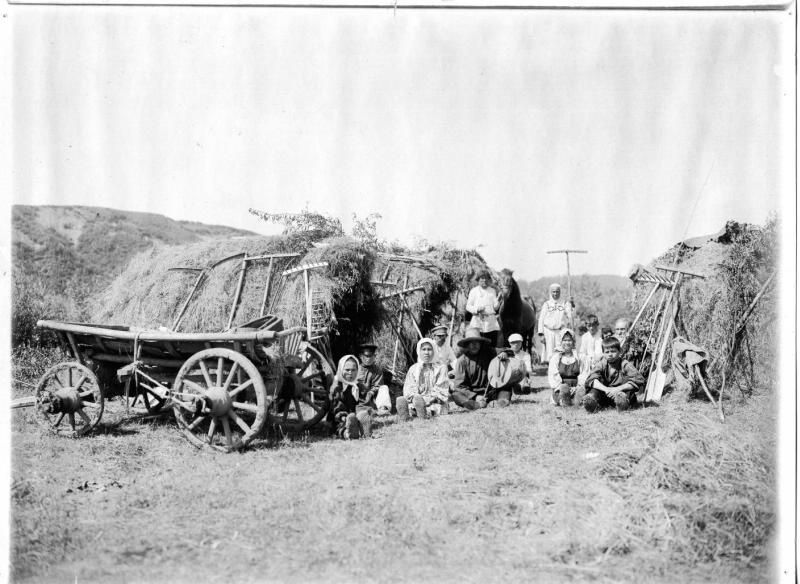 Уборка сена. 1890-е.