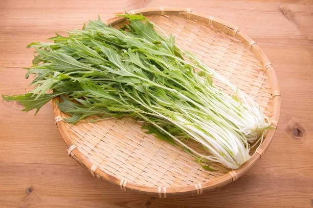 Японская капуста🌱Мицуна (мизуна) — это настоящая находка для огородников! Когда я впервые решила попробовать её вырастить, в голове